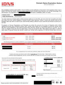 Invoice from iDNS